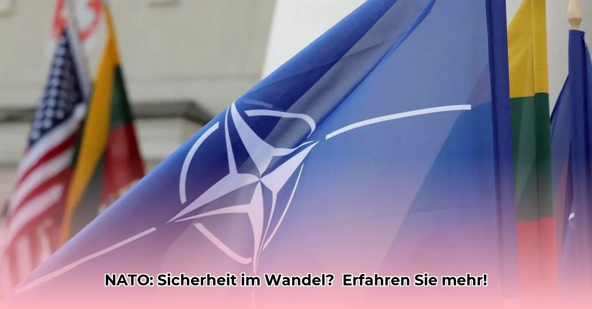 otan-bedeutung